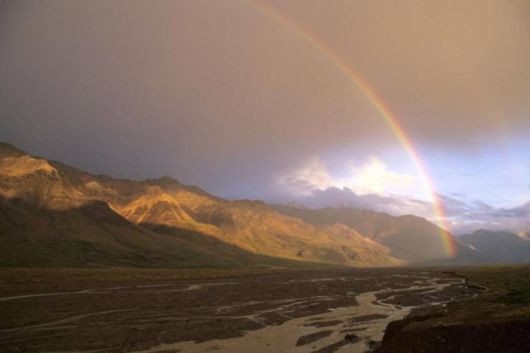 Amazing Rainbows in the Sky