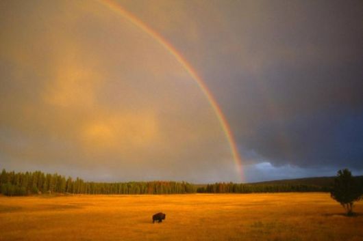 Amazing Rainbows in the Sky