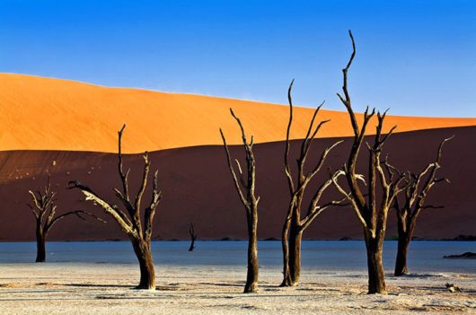 Travelling Through A Desert | Funzug.com