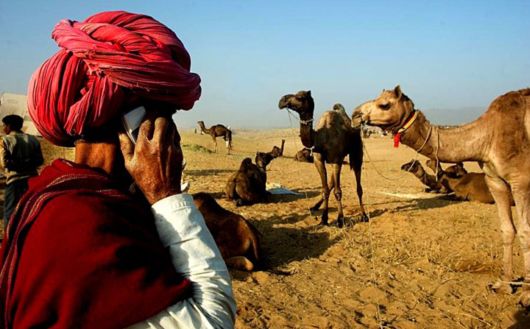 Travelling Through A Desert