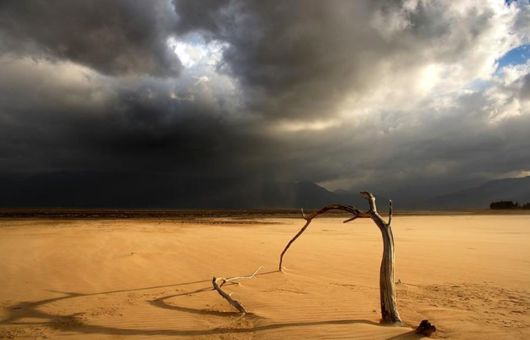 Travelling Through A Desert | Funzug.com