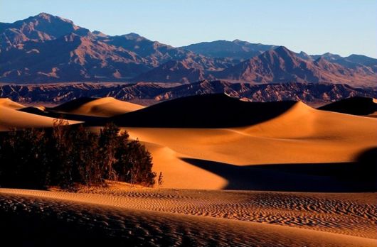 Travelling Through A Desert