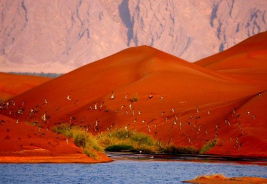 Travelling Through A Desert