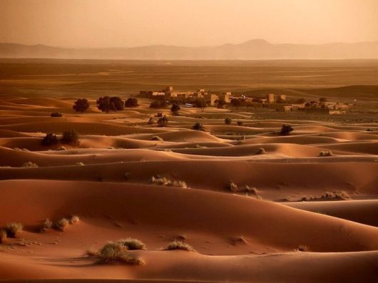 Travelling Through A Desert