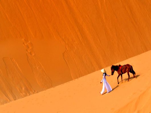 Travelling Through A Desert