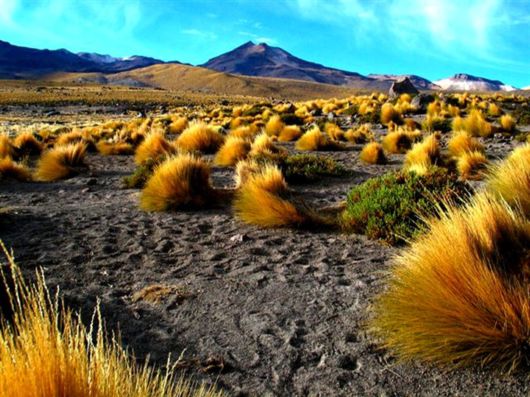Travelling Through A Desert