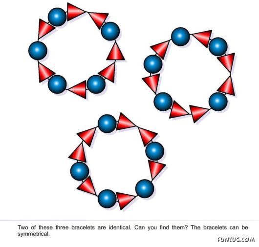 Can You Find The Similar Ones? (Visual Puzzle)