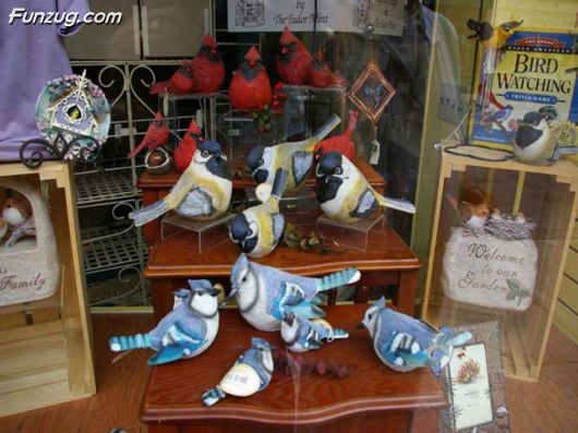 The Incredible Canada