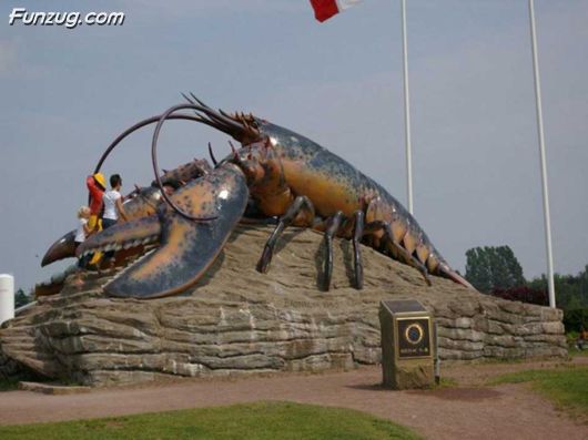 The Incredible Canada