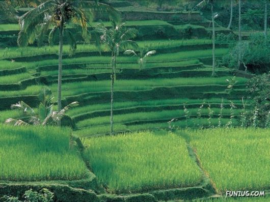 The Incredible Indonesia