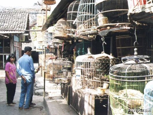 The Incredible Indonesia