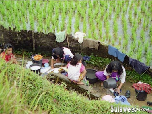 The Incredible Indonesia