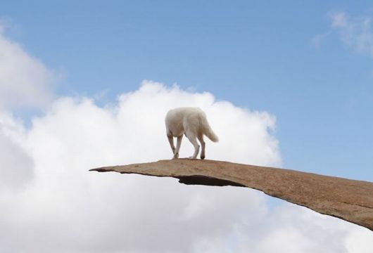 The Adventures Of John And Wolf