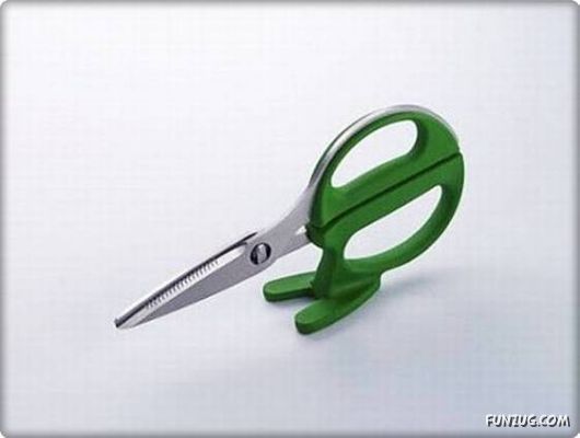 Amazing Unusual Objects