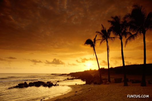 Exciting Beauty of Sunsets