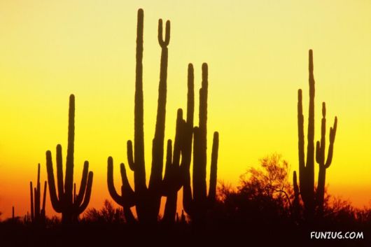 Exciting Beauty of Sunsets