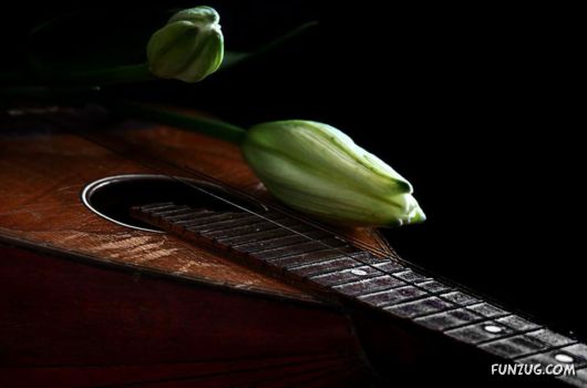 Click to Enlarge - Creative & Artistic Wallpapers