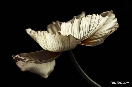 Click to Enlarge - Creative & Artistic Wallpapers