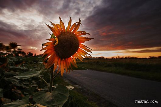 Click to Enlarge - Creative & Artistic Wallpapers