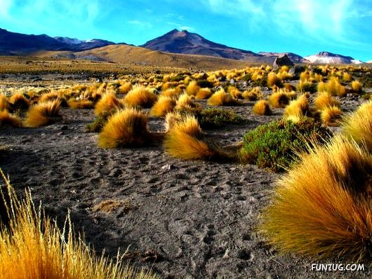 Click to Enlarge -Beautiful Deserts Wallpapers