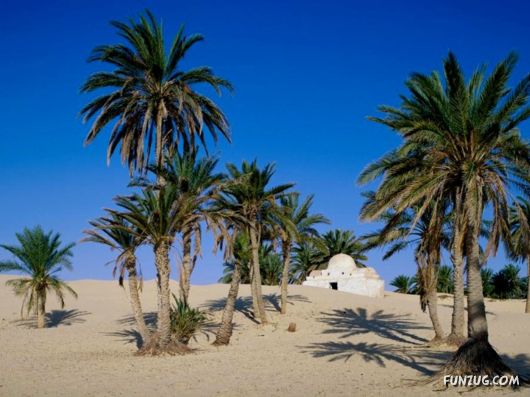 Click to Enlarge -Beautiful Deserts Wallpapers