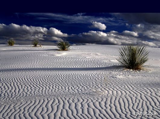 Click to Enlarge -Beautiful Deserts Wallpapers