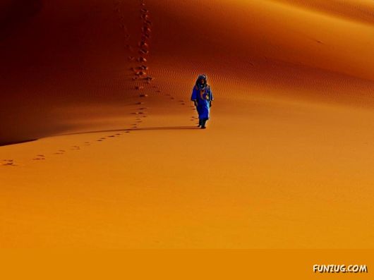 Click to Enlarge -Beautiful Deserts Wallpapers