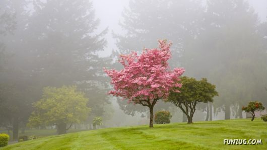 Click to Enlarge -Beautiful Mix Wallpapers Collection