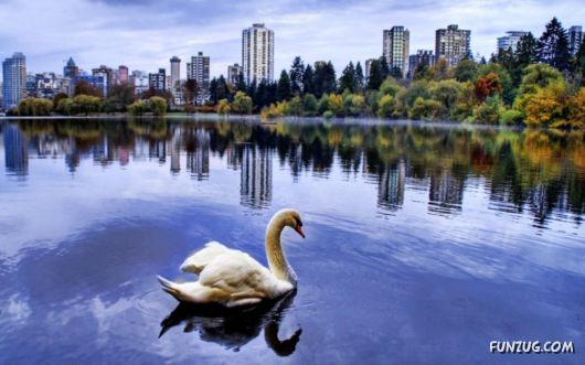 Click to Enlarge -Beautiful Mix Wallpapers Collection