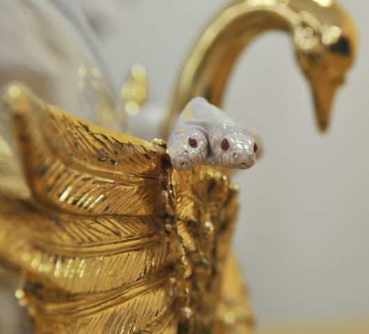 Amazing 2 Headed Snakes