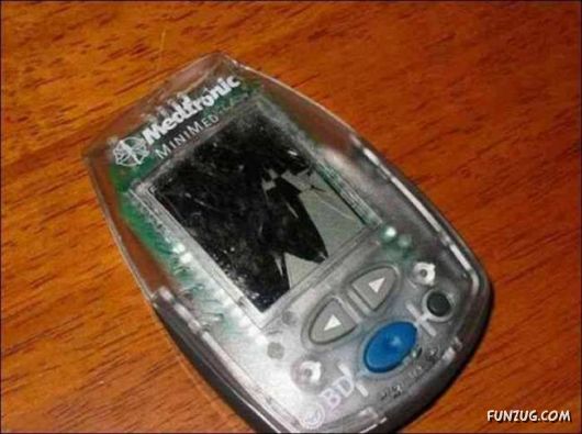 Cute Crazy Damager Pets