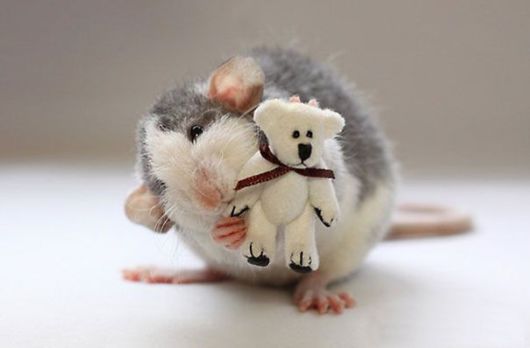 Adorable Pictures of Rats With Teddy Bears