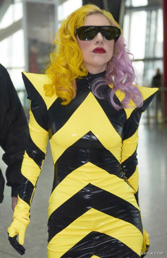 Lady Gaga In Her Various Hairstyles