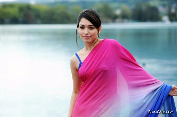 Gorgeous Tamanna Bhatia in Saree