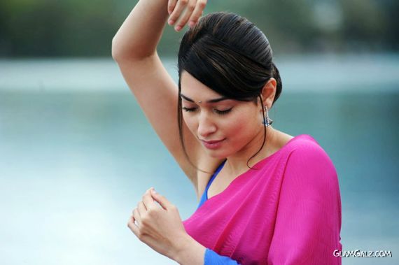 Gorgeous Tamanna Bhatia in Saree