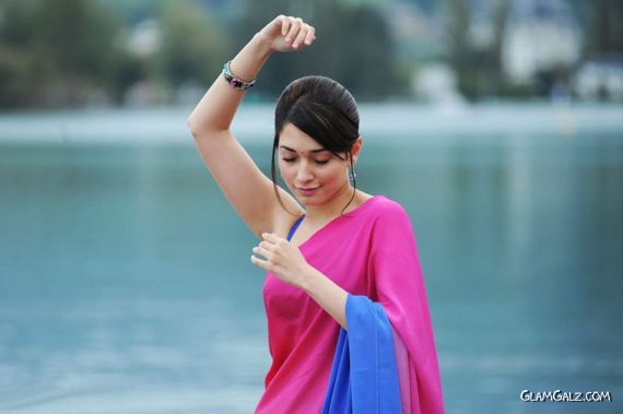 Gorgeous Tamanna Bhatia in Saree