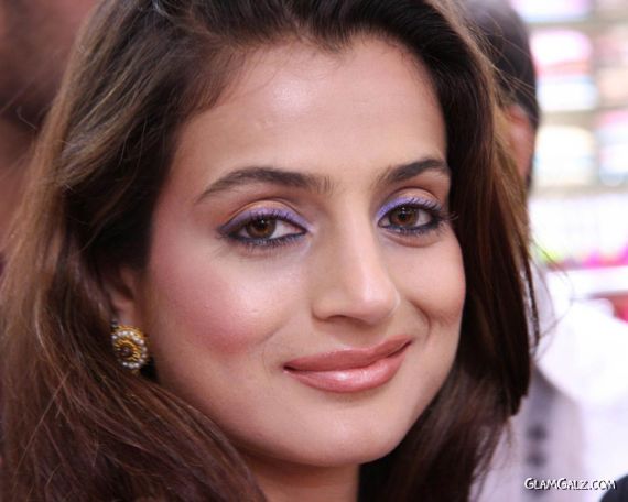 Click to Enlarge - Beautiful Amisha Patel Wallpapers