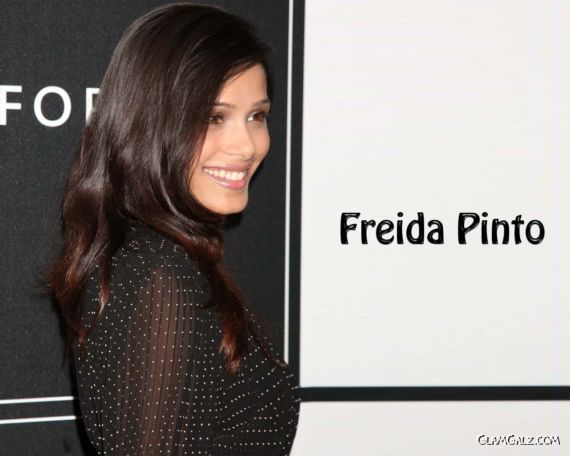 Click to Enlarge - Beautiful Freida Pinto Wallpapers