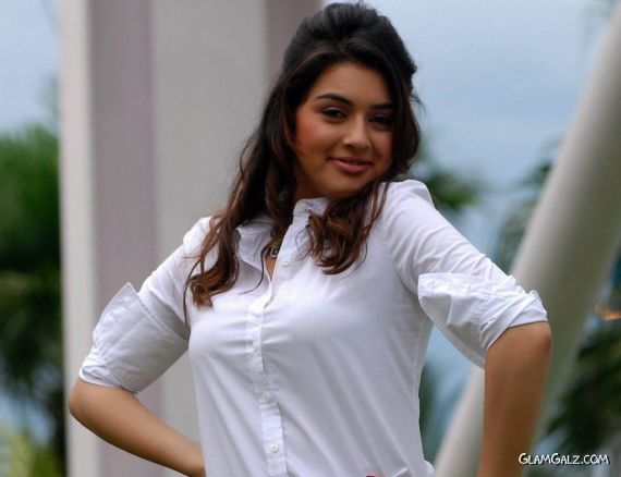 Click to Enlarge - Pretty Hansika Motwani Wallpapers